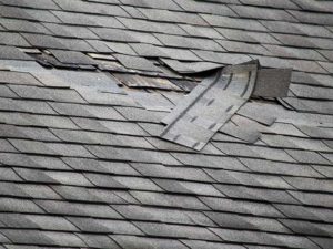 damaged shingles pulling loose on a roof